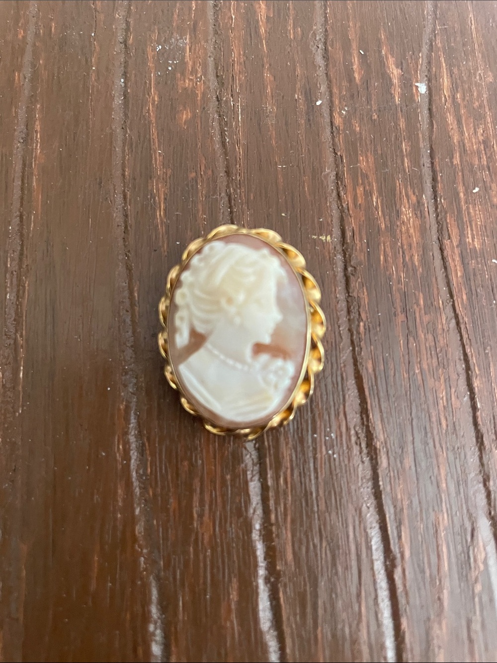 Classic 14k Dell Cameo brooch /pendant